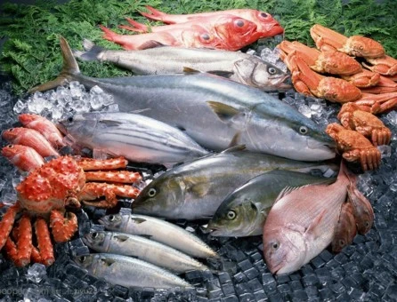 Консервирование пищевых продуктов